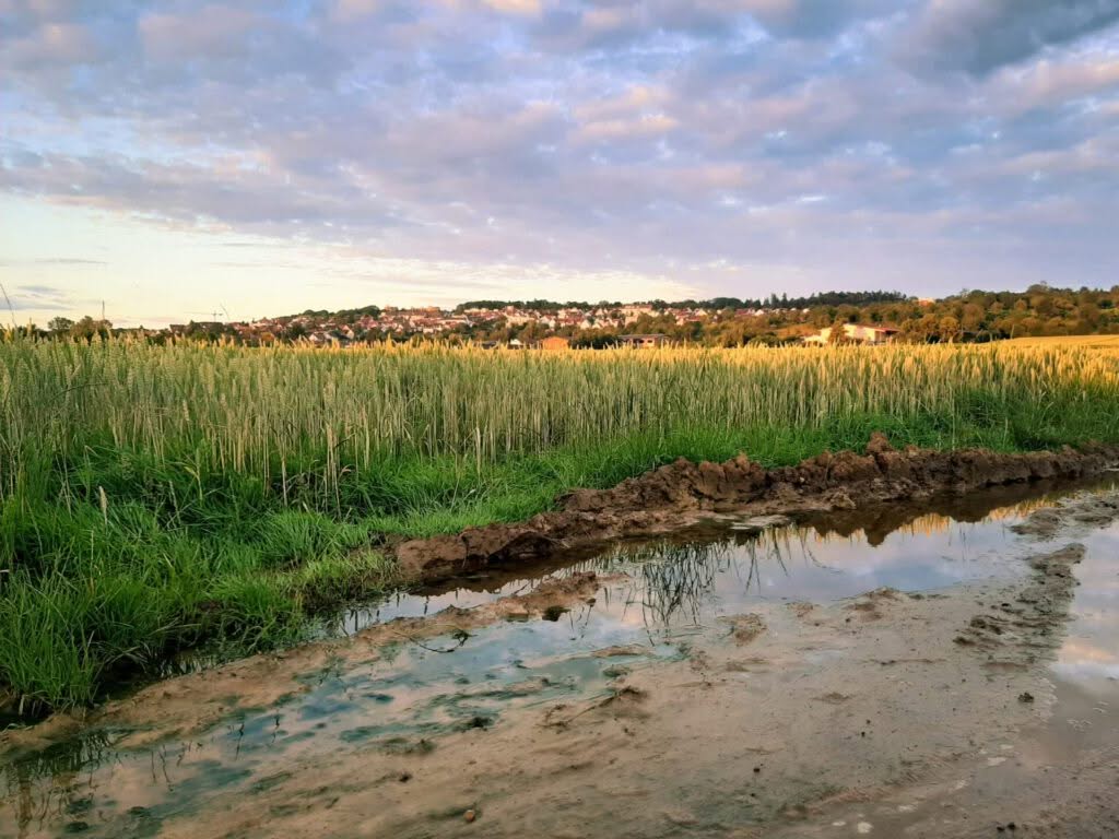 2020-Stuttgart-Lauf-Strecke-2